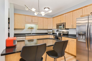 301 Oak Grove St unit 205, Minneapolis, MN 55403 - photo 6