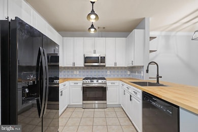 Marquis At Vienna Station unit 329, Vienna, VA 22181 - photo 3