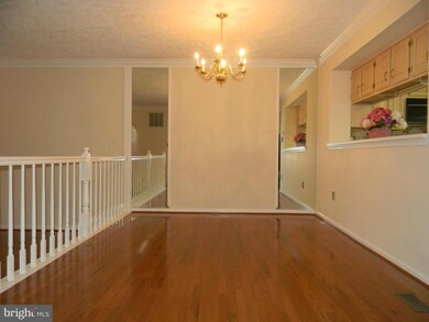 21 Mica Ct, Baltimore, MD 21209 - photo 6