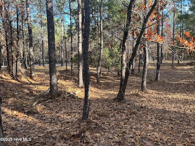 2905 N Magellan Blvd SE, Bolivia, NC 28422 - photo 2