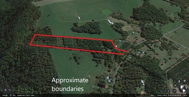 google earth image 1