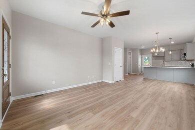 885 Dogwood Trail, Clarksville, TN 37042 - photo 5