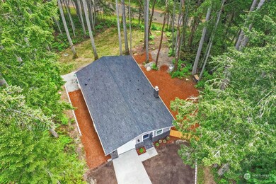 10111 109th Ave, Anderson Island, WA 98303 - photo 5