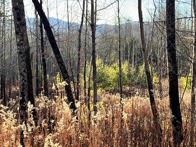 GREEN MOUNTAIN VIEWS