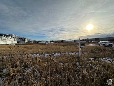 View of yard at dusk