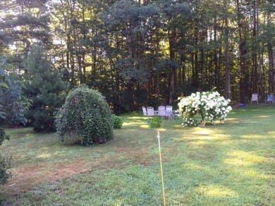 Side Yard