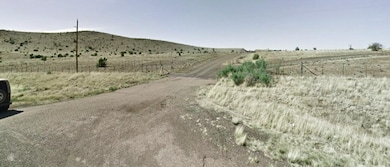 N3547, Concho, AZ 85924 - photo 2