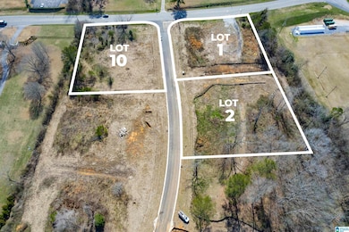 131 Bishop Creek Ln, Birmingham, AL 35242 - photo 5