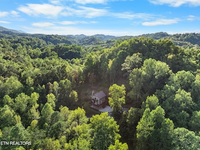 1755 A R Davis Rd, Seymour, TN 37865 - photo 7