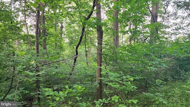 50 Oak Ridge Trail, Carroll Valley, PA 17320 - photo 6