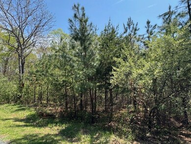 0 Spencer Rd unit 7 57122, Concord, VA 24538 - photo 6