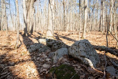 1 Jones, York, ME 03909 - photo 4