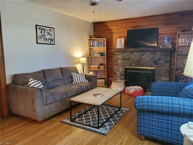 2098 Tritt Ave, Akron, OH 44312 - photo 3