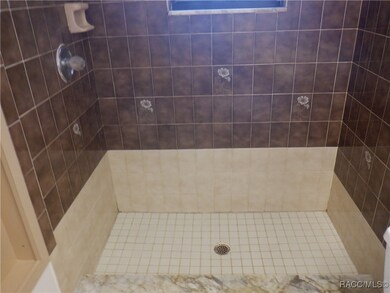 281 E Falconry Ct, Hernando, FL 34442 - photo 5