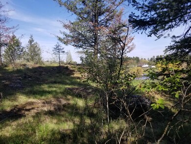 230 Eagle Bend Dr, Big Fork, MT 59911 - photo 2