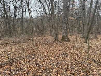 Lot 29 Hidden Meadow Ln, Blue River, WI 53518 - photo 5