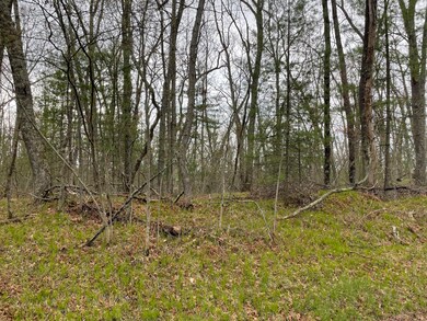Wooded/hills