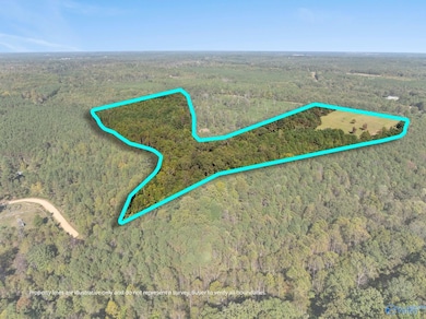 29.1 acres W County Highway 73, Hamilton, AL 35570 - photo 5