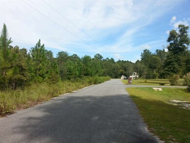 Lot 5 Decey Wallace Ln, Crawfordville, FL 32327 - photo 2