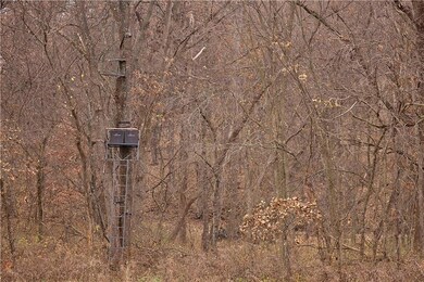 32184 E 237th St, Trail Creek Township, MO 64481 - photo 4