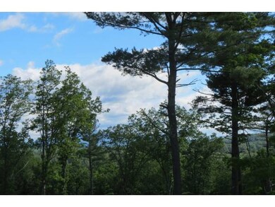 4.3 Fieldstone Way, Moultonborough, NH 03254 - photo 7