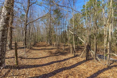 442 Savany Hunt Creek Rd, Gaston, SC 29053 - photo 7