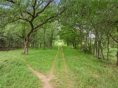 View of yard featuring a view of trees