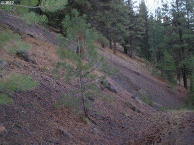 0 Center St unit 12580193, Granite, OR 97877 - photo 5