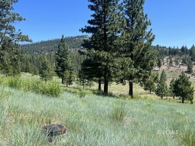 89384 Oregon 140, Lakeview, OR 97630 - photo 6