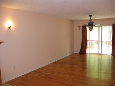 233 Locust Dr, Milford, PA 18337 - photo 6