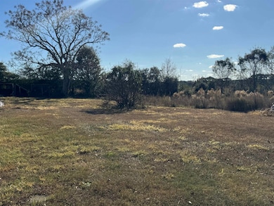 462 Olmstead Rd, Dozier, AL 36028 - photo 7