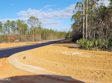 10893 E Taylor Rd Lot 60 unit Lot 60, Gulfport, MS 39503 - photo 7