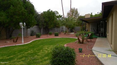 back yard