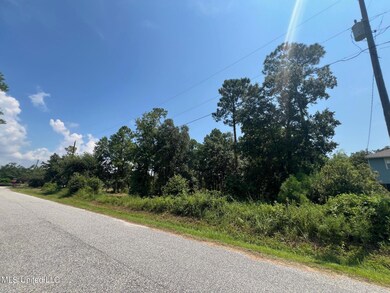 prentiss pic road from neighbor house