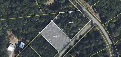 Lot Outline - Satelite Image