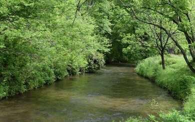 Additional View