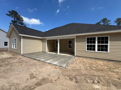 Rear view of property with a shingled roof and a p