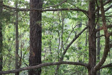 7 Bassingham Ln, Bella Vista, AR 72715 - photo 4