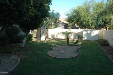 Lush rear yard