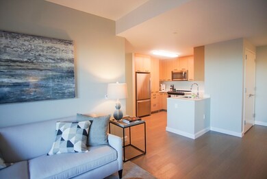 101 Beverly St unit PH-Q, Boston, MA 02114 - photo 6