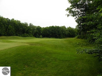 71 Broadwinged Way, Bellaire, MI 49615 - photo 6