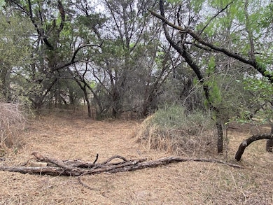 Lot 129 Cr 140, Burnet, TX 78611 - photo 7