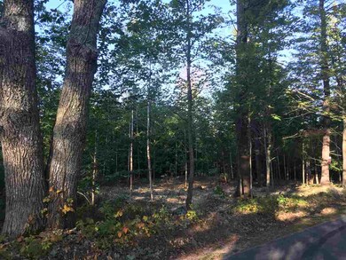 TBD Willey Rd, Brookfield, NH 03872 - photo 3