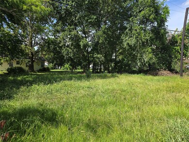Mature trees