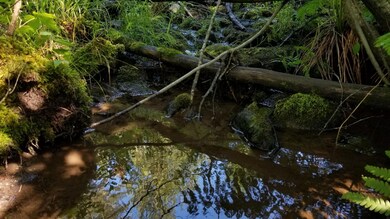 300 Parent Rd Stream