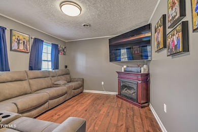 8856 Rich Valley Rd, Bristol, VA 24202 - photo 7