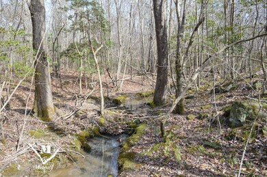 0 Cowpens Pacolet Rd unit 23075109, Spartanburg, SC 29307 - photo 7