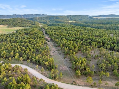 0 Tbd Argyle Rd unit LotWP001 23629719, Hot Springs, SD 57747 - photo 5