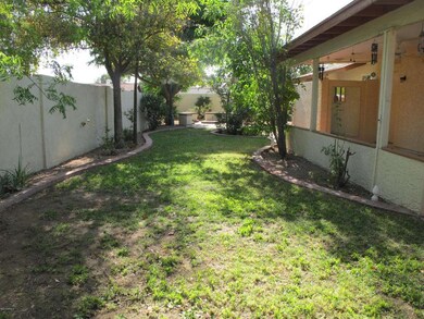 1363backyard