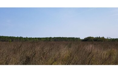 2967 NW Lake Jeffery Rd, Lake City, FL 32055 - photo 4